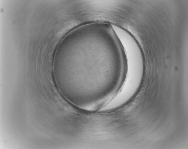 X0000088620673200706151853