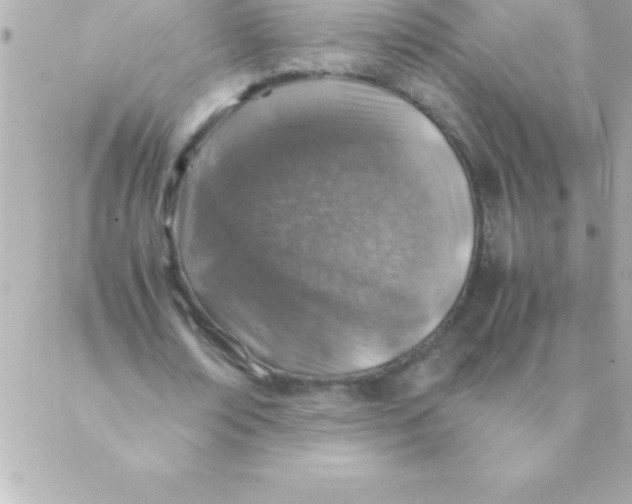 X0000088620674200706151853