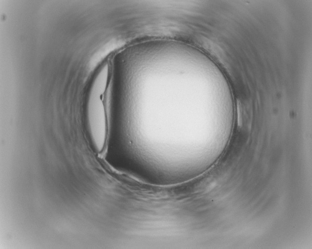 X0000088620675200706151853