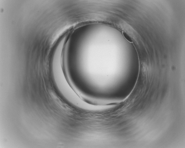 X0000088620676200706151853