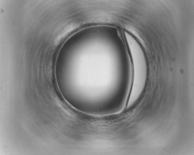 X0000088620677200706151853