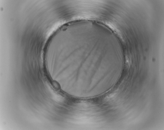 X0000088620678200706151853