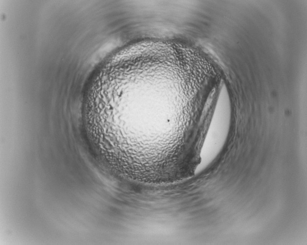 X0000088620679200706151853