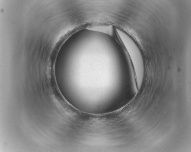 X0000088620680200706151853