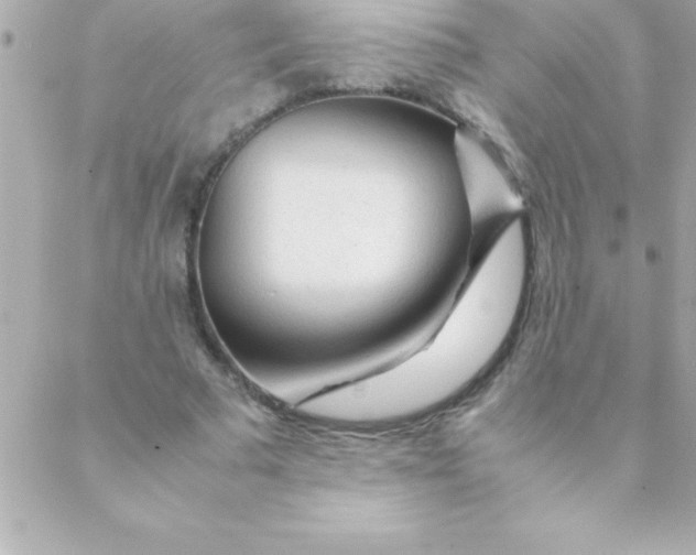 X0000088620681200706151853