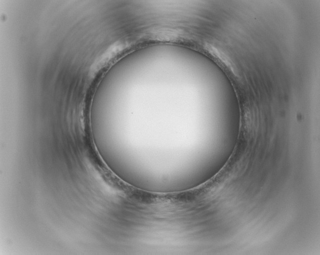 X0000088620682200706151853