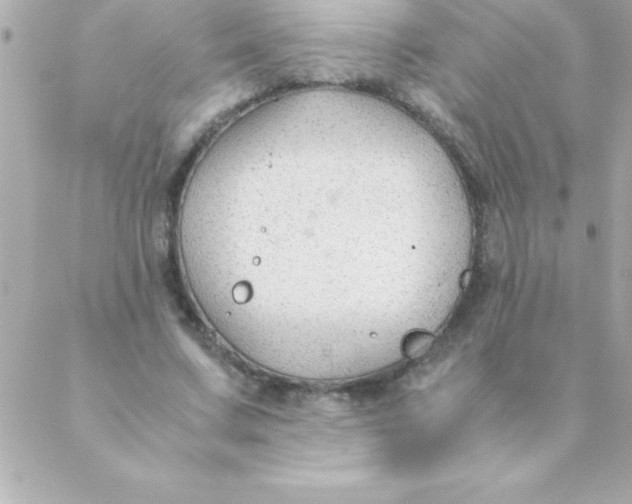 X0000088620683200706151853