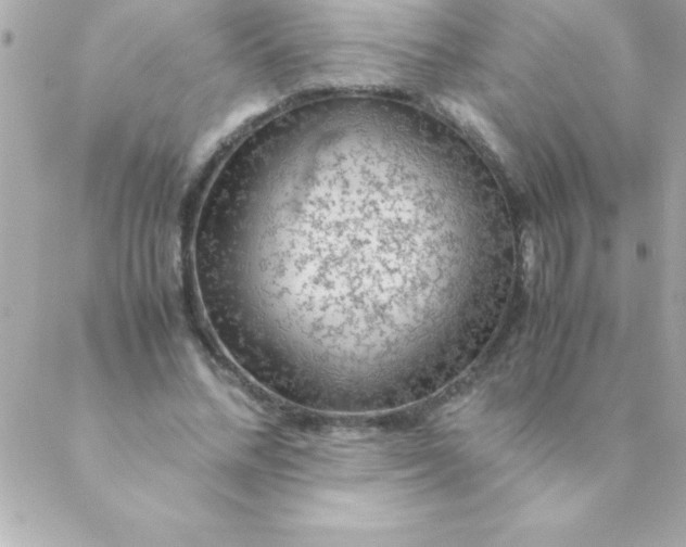 X0000088620684200706151853