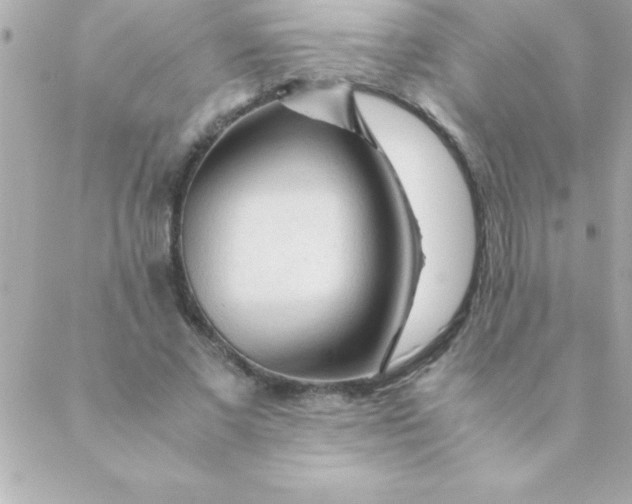 X0000088620685200706151853