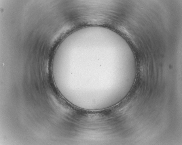 X0000088620686200706151853