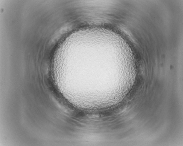 X0000088620687200706151852