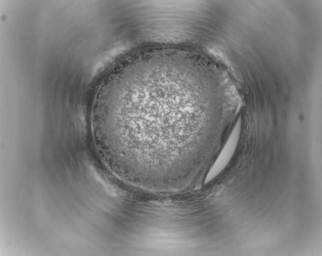 X0000088620688200706151852