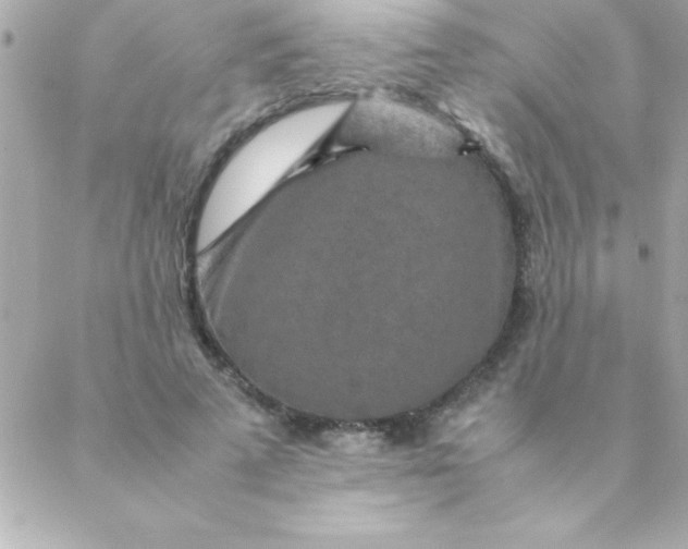 X0000088620689200706151852