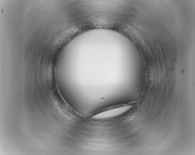 X0000088620690200706151852