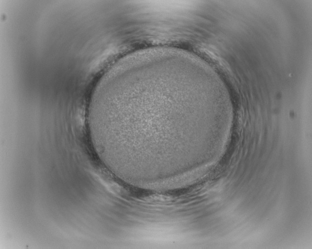 X0000088620691200706151852