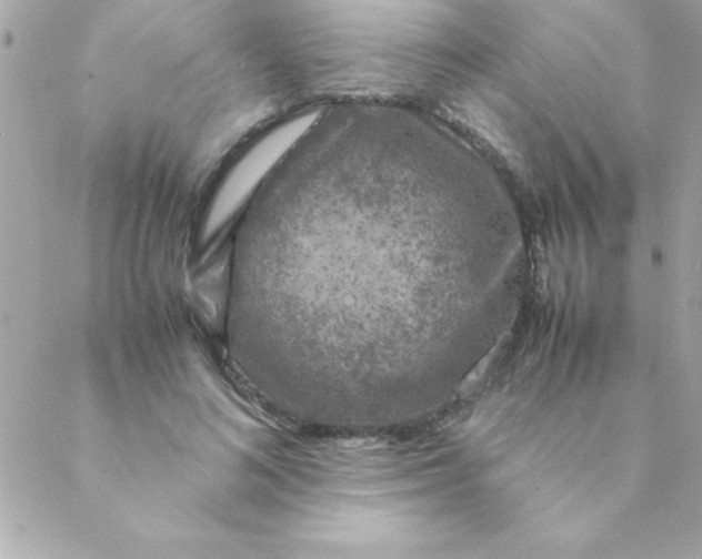 X0000088620692200706151852