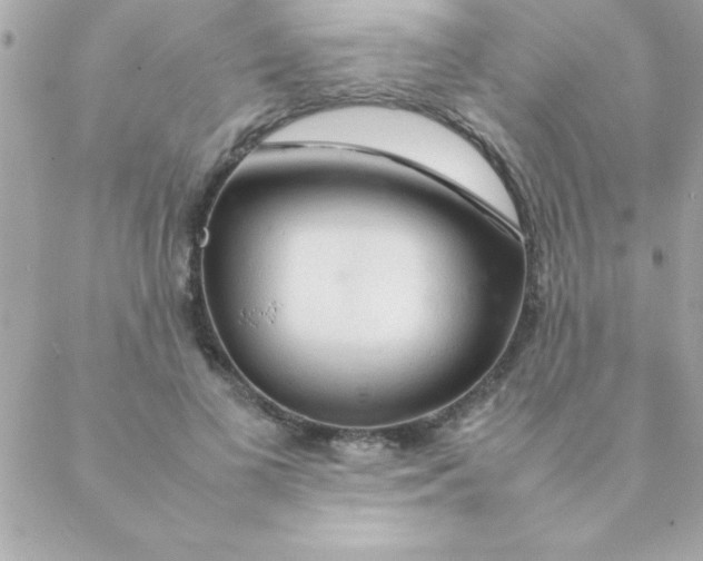 X0000088620693200706151852