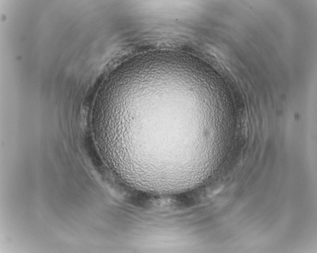 X0000088620695200706151852