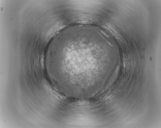 X0000088620696200706151852