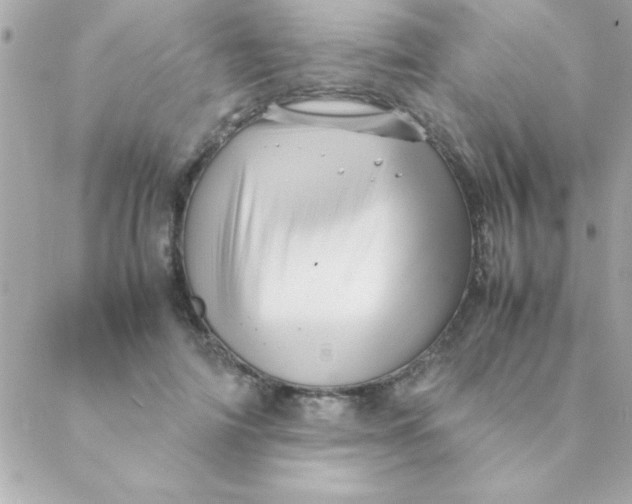 X0000088620698200706151852