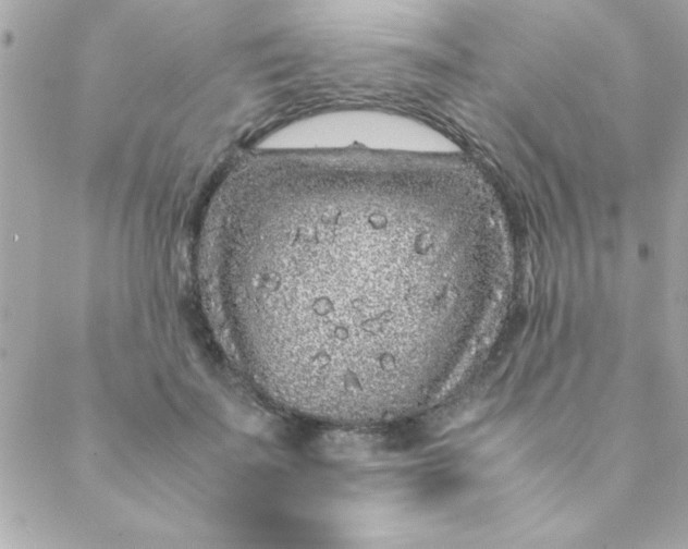 X0000088620699200706151852