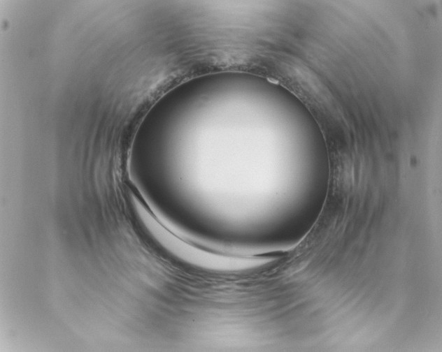 X0000088620700200706151852