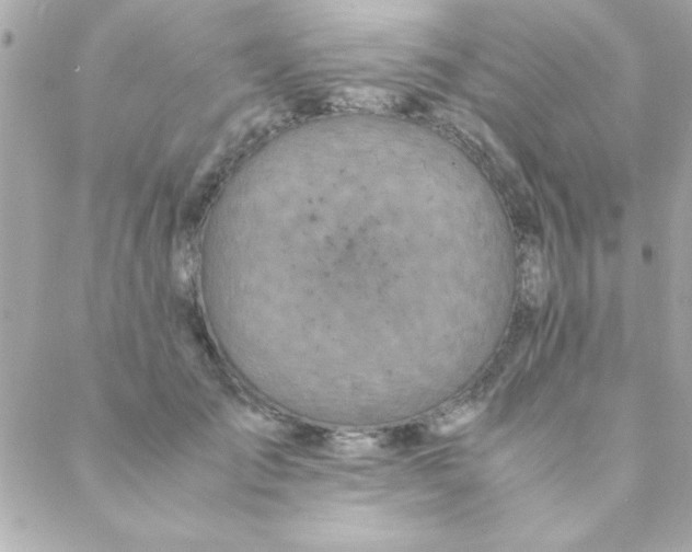 X0000088620701200706151852