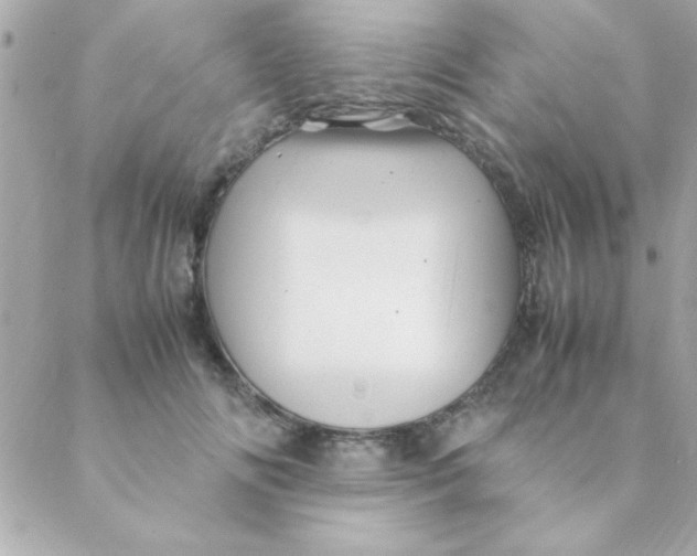 X0000088620702200706151852