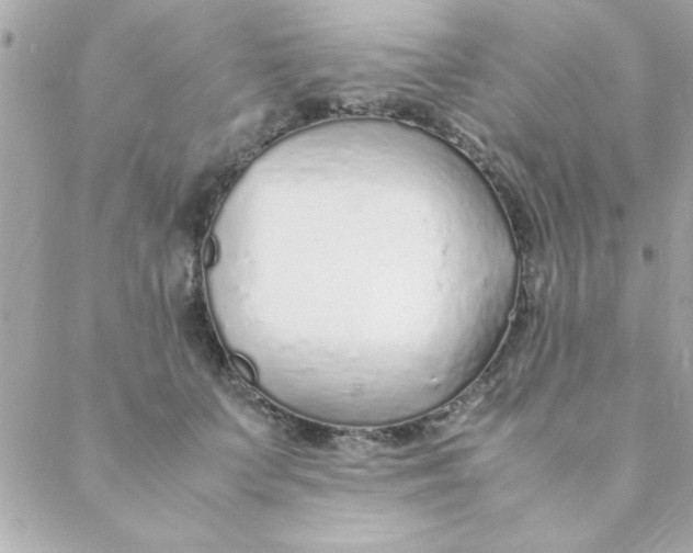 X0000088620703200706151852