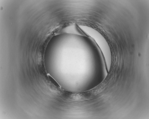 X0000088620704200706151852