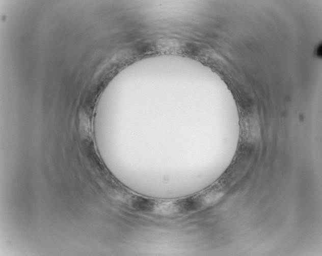 X0000088620705200706151852