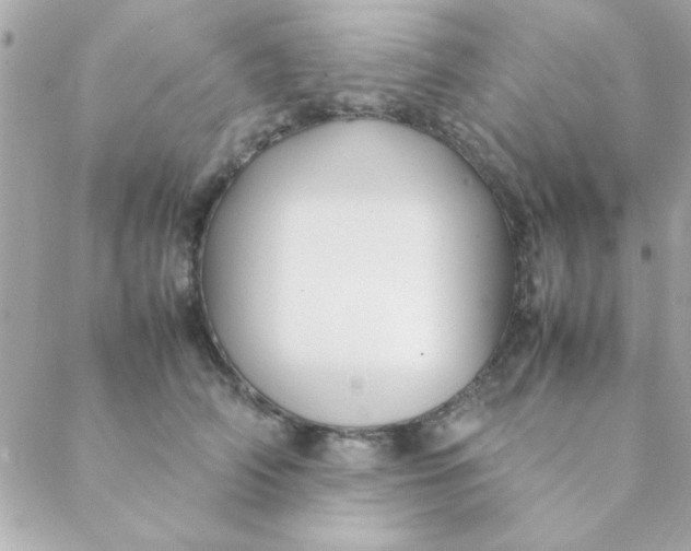 X0000088620706200706151852