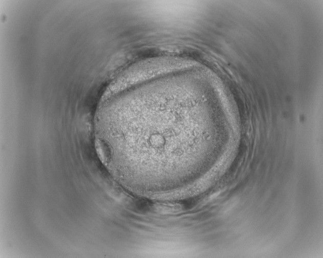 X0000088620707200706151852