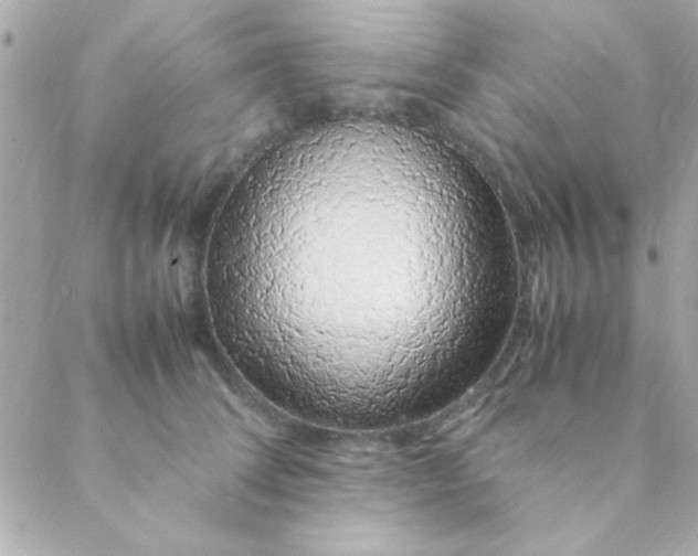 X0000088620708200706151852