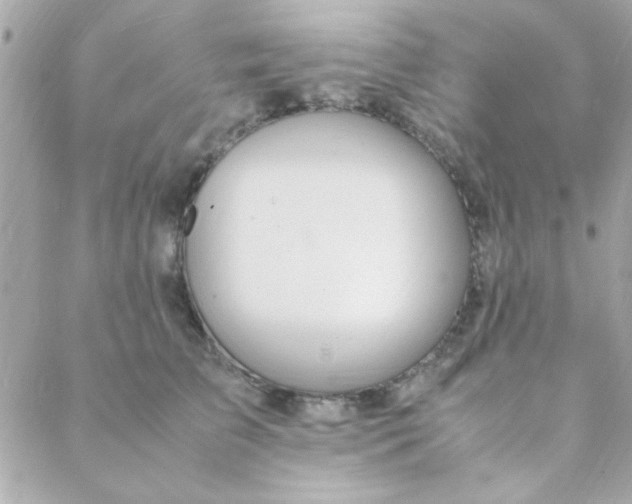 X0000088620709200706151852