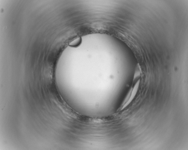 X0000088620710200706151852