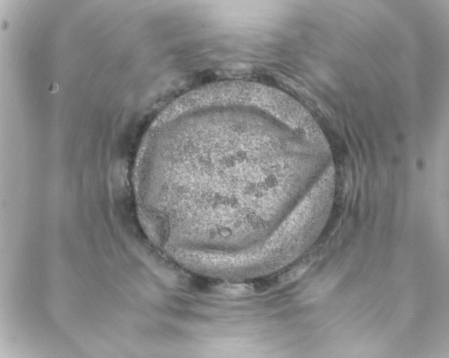 X0000088620711200706151852