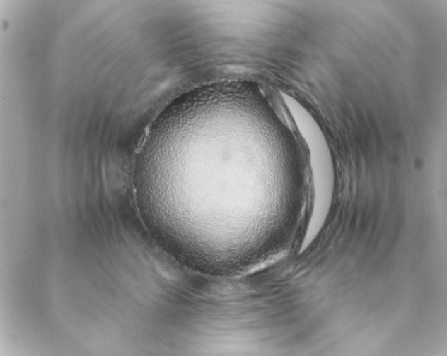 X0000088620712200706151852