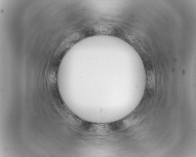 X0000088620713200706151852