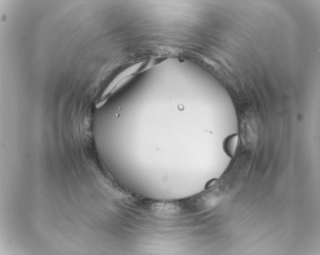 X0000088620714200706151852