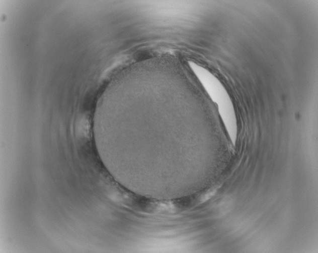 X0000088620715200706151852