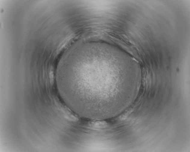 X0000088620716200706151852