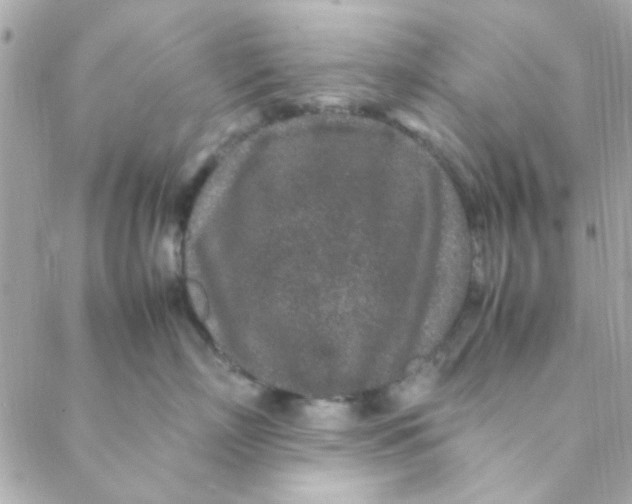 X0000088620718200706151852