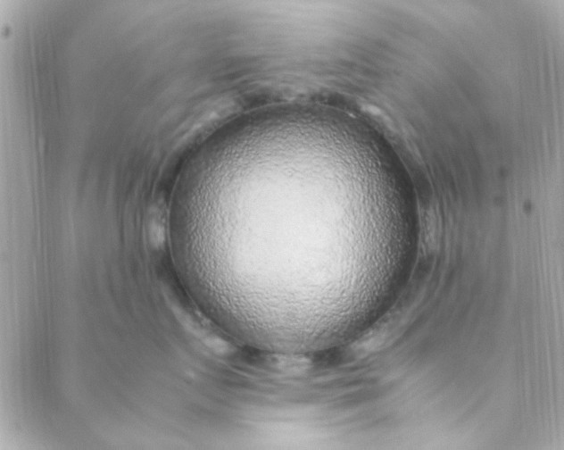 X0000088620719200706151852