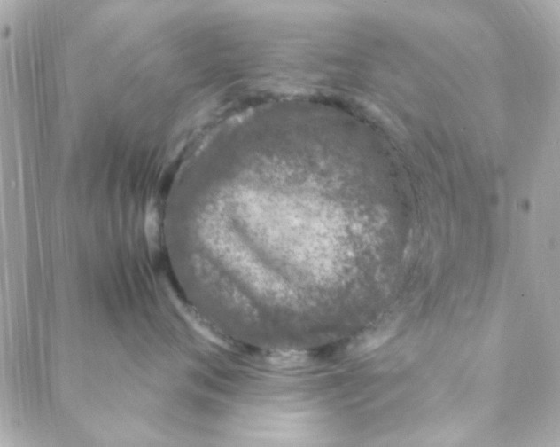 X0000088620720200706151852