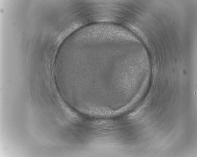 X0000088620721200706151851