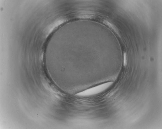 X0000088620723200706151851