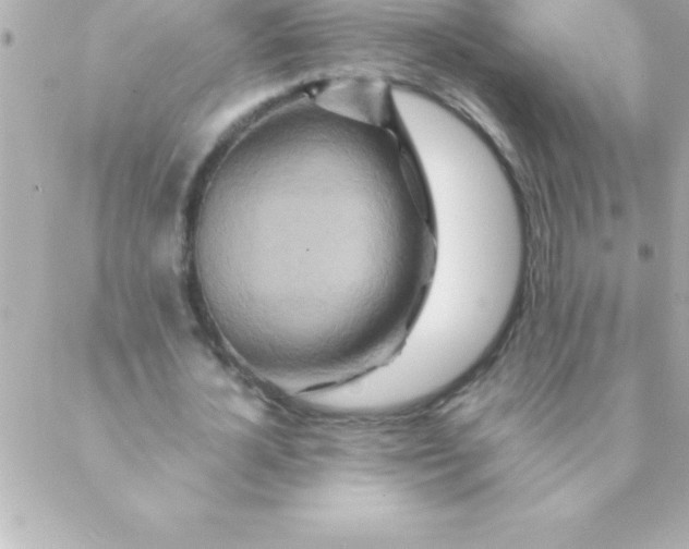 X0000088620724200706151851