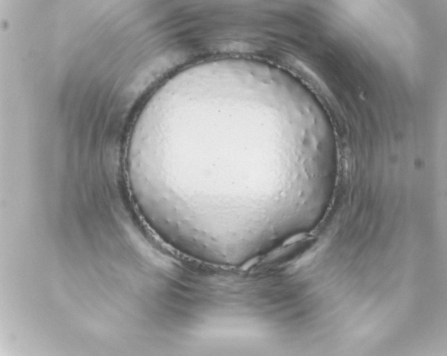 X0000088620725200706151851