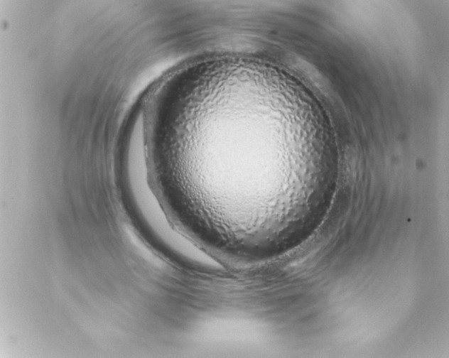 X0000088620726200706151851